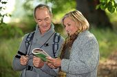 pic of map  - Couple reading a map in a forest - JPG 