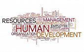 stock photo of develop  - HR  - JPG 