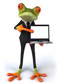 foto of animals  - Business frog - JPG 