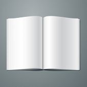 foto of newspaper  - Vector blank magazine spread - JPG 