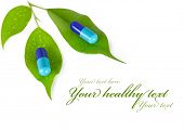 stock photo of business people  - natural medical pills with green leaves - JPG 