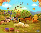 picture of animals  - farm animals in the autumn field - JPG 