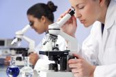 picture of scientific  - A blond female medical or scientific researcher or doctor using her microscope in a laboratory with her Asian colleague out of focus behind her - JPG 