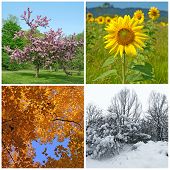 picture of landscape  - Four seasons - JPG 