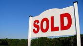 pic of blue sky  - Real estate sold sign over blue sky and trees - JPG 