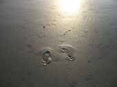stock photo of glisten  - A mysterious set of lone footprints on the beach with the sun glistening off the wet sand - JPG 