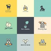 picture of animals  - Set of different colorful vector animal icons - JPG 