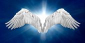 pic of heavens  - Pair of angel wings on heavenly blue background - JPG 