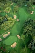 picture of golf  - sand traps surround a putting green on the golf course at the interlachen country club - JPG 