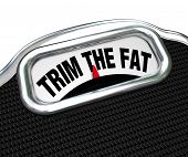 pic of tough  - The words Trim the Fat on a scale - JPG 