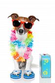 picture of animals  - Tourist Dog With Hawaiian  Lei And A blue Bag - JPG 