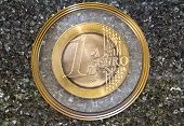 image of marble  - Euro coin as coat of arms on marble plate - JPG 