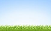 stock photo of blue sky  - Vector illustration of grass on a clear blue morning sky - JPG 