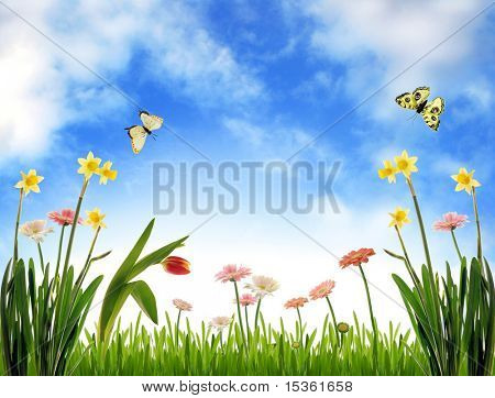 Poster: Spring meadow with flowers and
