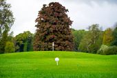 picture of golf  - Golf ball on tee in a beautiful golf club - JPG 