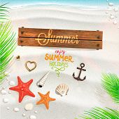 stock photo of beach  - Sea shells - JPG 