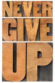 stock photo of type  - never give up  - JPG 