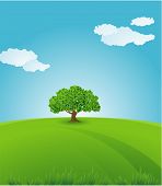 pic of blue sky  - Summer - JPG 