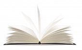 picture of opening  - White opened book with blank pages - JPG 