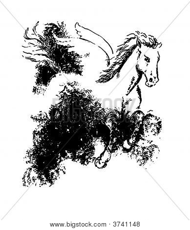 Pin Narcissus Greek Mythology Symbol on Pinterest