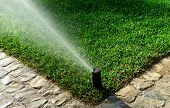 image of nature  - Automatic garden irrigation sprinkler system - JPG 