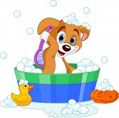 stock photo of dog  - Very cute dog having a soapy bath - JPG 