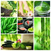 foto of health  - Beautiful Spa Collage - JPG 