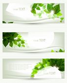 foto of nature  - set of three banners - JPG 