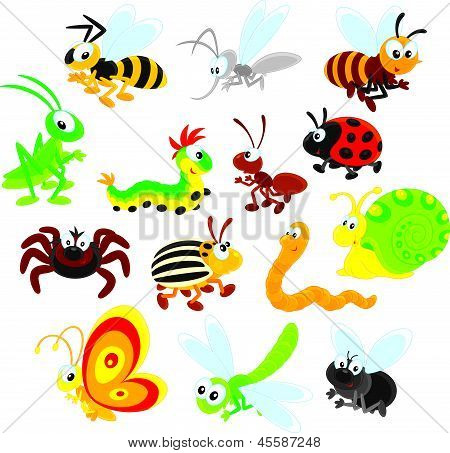 Poster: Insects