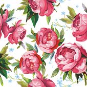 stock photo of soul  - Elegance Seamless color peony pattern on white background - JPG 