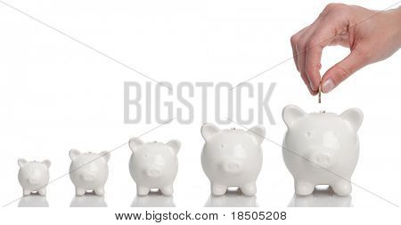 Picture or Photo of Growing Investment - Piggy Bank on a white background