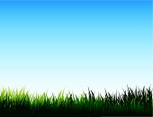 picture of blue sky  - meadow with fresh green grass and pure blue sky for your design and art work - JPG 