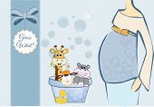 foto of animals  - animal baby shower card in vector format - JPG 