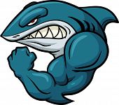 picture of sports  - Strong shark sports mascot - JPG 