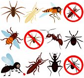 picture of warp  - A vector collection of bugs  - JPG 