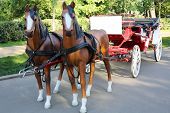 stock photo of horse  - Two artificial sledge of horses harnessed wagon in park at summer day - JPG 