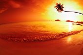 image of sunset  - Tropical beach at sunset Mak island Thailand - JPG 