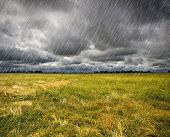 stock photo of france  - Heavy Rain over a Prairie in Brittany - JPG 