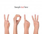 picture of holidays  - hands forming number 2013 - JPG 