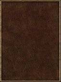 pic of dust wrapper  - brown leather book cover with golden frame - JPG 
