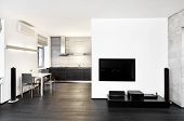 image of interior  - Modern minimalism style kitchen and drawing room interior in monochrome tones - JPG 
