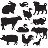 image of animals  - Silhouettes of hand drawn farm animals - JPG 