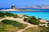 foto of beach  - View of La Pelosa beach characterized by the transparency of its waters and the whiteness of its sand is considered one of the most beautiful beaches in Sardinia Italy - JPG 