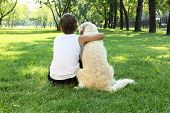 foto of boy  - Teenager boy in the park with a golden retriever dog - JPG 
