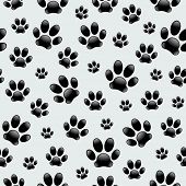 picture of dog  - Dog - JPG 