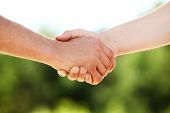 pic of handshake  - Closeup of Handshake with nature background - JPG 