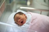 image of infants  - file of new born infant asleep in the blanket in delivery room
 - JPG 