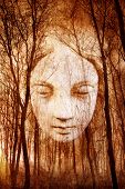 pic of soul  - Ghostly female face materialising in misty haunted forest - JPG 
