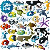 stock photo of animals  - big vector sea - JPG 