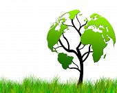 pic of map  - Tree with foliage world map - JPG 